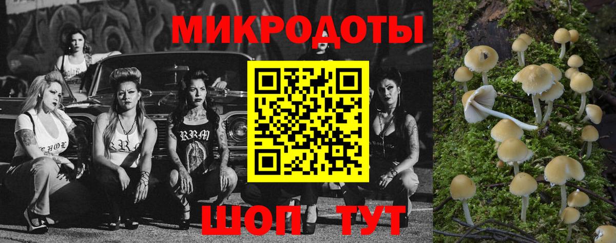 Галлюциногенные грибы прущие грибы Славгород