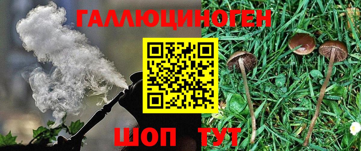 Славгород  Галлюциногенные грибы прущие грибы  Псилоцибиновые грибы мухоморы  Вход с VPN 